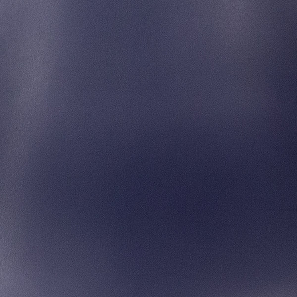 Navy Plastic/wood Chair Miramar Office