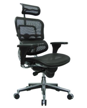 Ergohuman High Back By Eurotech - Mesh - Miramar Office