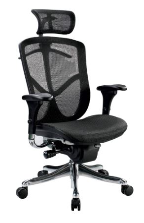 Eurotech Fuzion Luxury Ergonomic Office Chair - Miramar Office