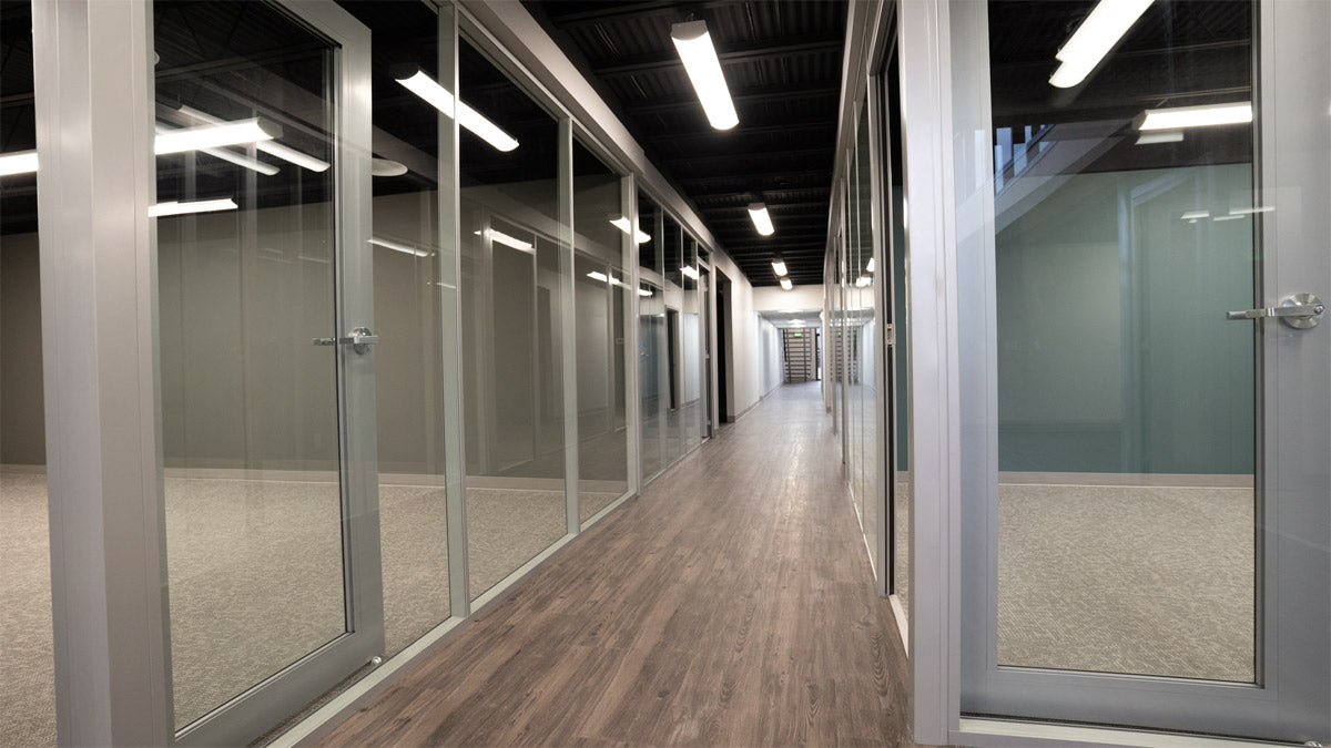 NxtWall FLEX full-height glass office corridor with aluminum-frame doors